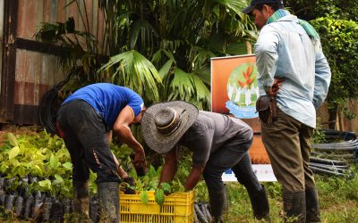 Educación radial para comunidades caqueteñas  en época de pandemia